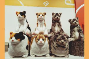 【ぬいぐるみ】ふとっちぃZOO入荷しました