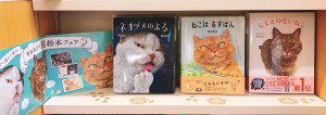にゃん！にゃんにゃん！！ねこ絵本フェア