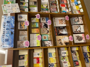 上本町店オリジナル猫本フェア【猫ノ日祭之棚】開幕！