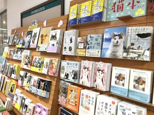 「猫の本」フェア開催中