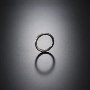 こんにちは春　　ルビーフロッグ と ドットワイヤ