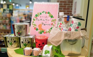 おうちで育てるグリーン「幸せを運ぶストロベリー＆クローバー」