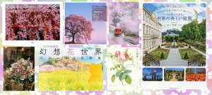 【季節は春】桜でお花見フェスティバル【百花繚乱】