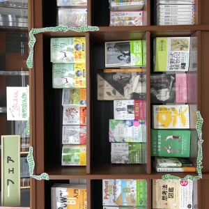 NHK連続テレビ小説『らんまん』放送記念「牧野富太郎」フェア