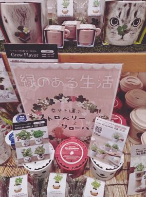 【お家で育てよう】栽培キット入荷しました