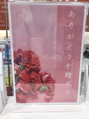 母の日ギフトご紹介しております