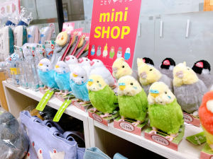 期間限定「ことりカフェ miniSHOP」開催