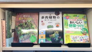 園芸フェア開催中