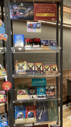 さあ、魔法界へ！