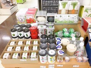 お家で気軽に始められる！「緑のある生活」フェア