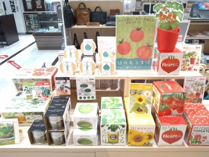 コンセプトフェア「緑のある生活」