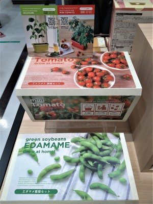 コンセプトフェア「緑のある生活」