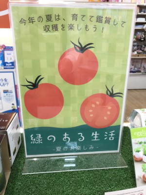 夏を楽しもう！〈緑のある生活〉