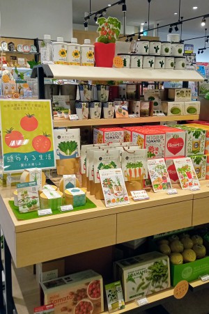 夏も楽しもう！緑のある生活