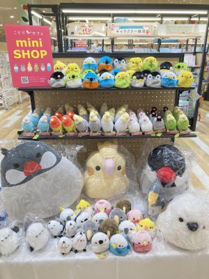 またまた、鳥さんいっぱい！ことりカフェmini SHOP！