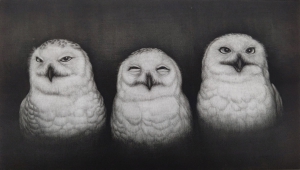 生田宏司 銅版画展　～漆黒の宇宙に浮かび上がる愛しきもの～