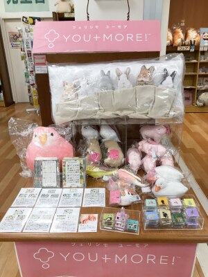  フェリシモ YOU＋MOREフェア