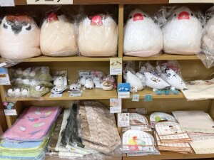  フェリシモ YOU＋MOREフェア