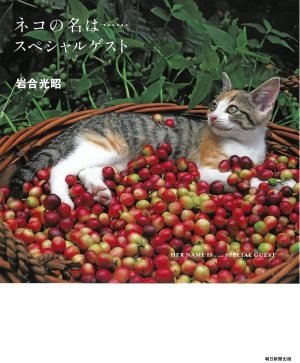 【待望の新刊】岩合光昭さん『ネコの名は……スペシャルゲスト』大好評発売中【夏のねこまつり】