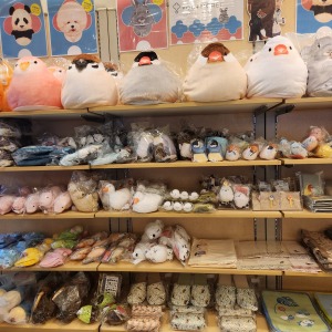 フェリシモ YOU+MORE!in福岡店