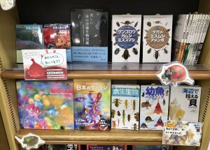 寄り道・散策・観察フェア