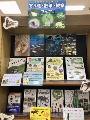 寄り道・散策・観察フェア