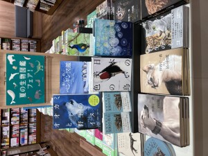 迫力ある図鑑で夏を満喫！「夏の生物図鑑フェア」