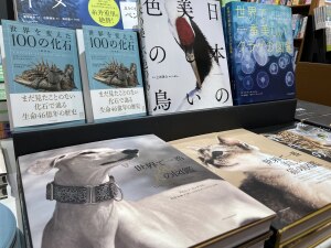 迫力ある図鑑で夏を満喫！「夏の生物図鑑フェア」