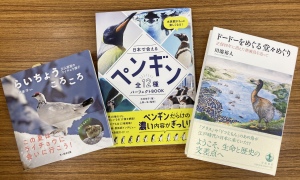 【魅惑の鳥の世界へ】「ようこそ！鳥の王国へ」フェア開催中です！