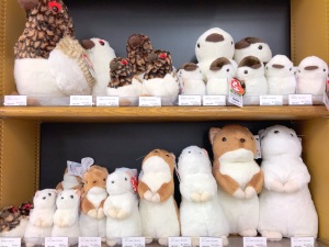 山を愛する人ここに集まれ！山グッズフェア