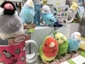 ことりマルシェinHAKATA