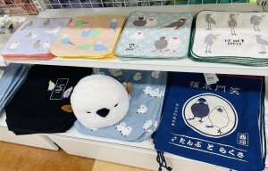 ことりマルシェinHAKATA