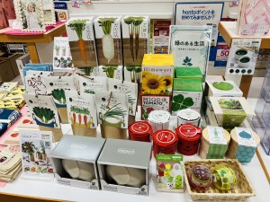 お手軽に野菜作り！根菜栽培キット展開中
