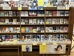 文春文庫 秋100ベストセレクション