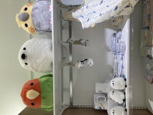 【ことり大集合】ことりマルシェ in ICHIHARA