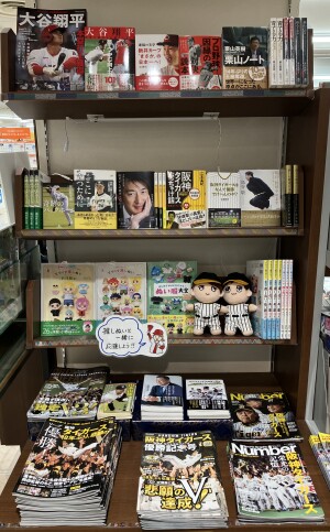 秋の夜長は野球で熱くなろう！野球フェア2023