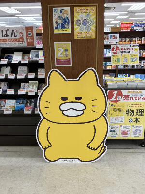 ノラネコぐんだん＆kodomoeぺこぺこフェア