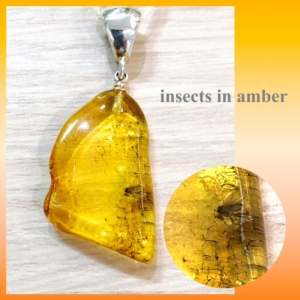 琥珀インテリア・アクセサリー　琥珀工房						