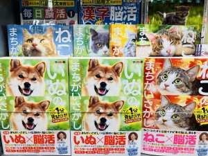 １分見るだけ！記憶脳瞬間強化「まちがいさがし」フェア