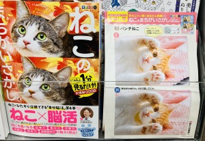 １分見るだけ！記憶脳瞬間強化「まちがいさがし」フェア