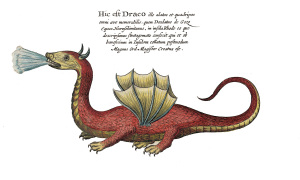 ヨーロッパアンティーク版画展