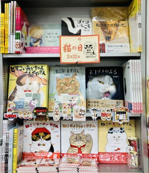 ２月２２日「猫の日えほん」フェア
