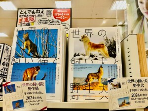 2/17朝日新聞広告掲載！「世界の飼い犬と野生犬」「世界の飼い猫と野生猫」
