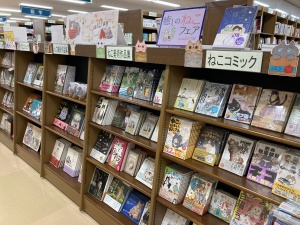 毎年恒例のねこフェア！もふもふしまくりの癒し空間へようこそ！