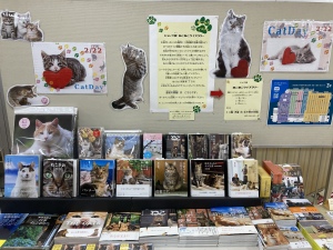 毎年恒例のねこフェア！もふもふしまくりの癒し空間へようこそ！