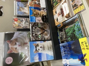 毎年恒例のねこフェア！もふもふしまくりの癒し空間へようこそ！