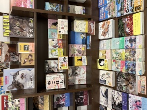 いっぱい見てってにゃん【ねこ猫ネコフェア】