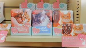 心躍る『ネコねこフェア』