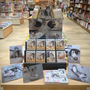 【待望の第2弾】もちはな日記　発売記念パネル展