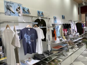 【どっちを選ぶ？】ハシビロコウマヌル猫フェア